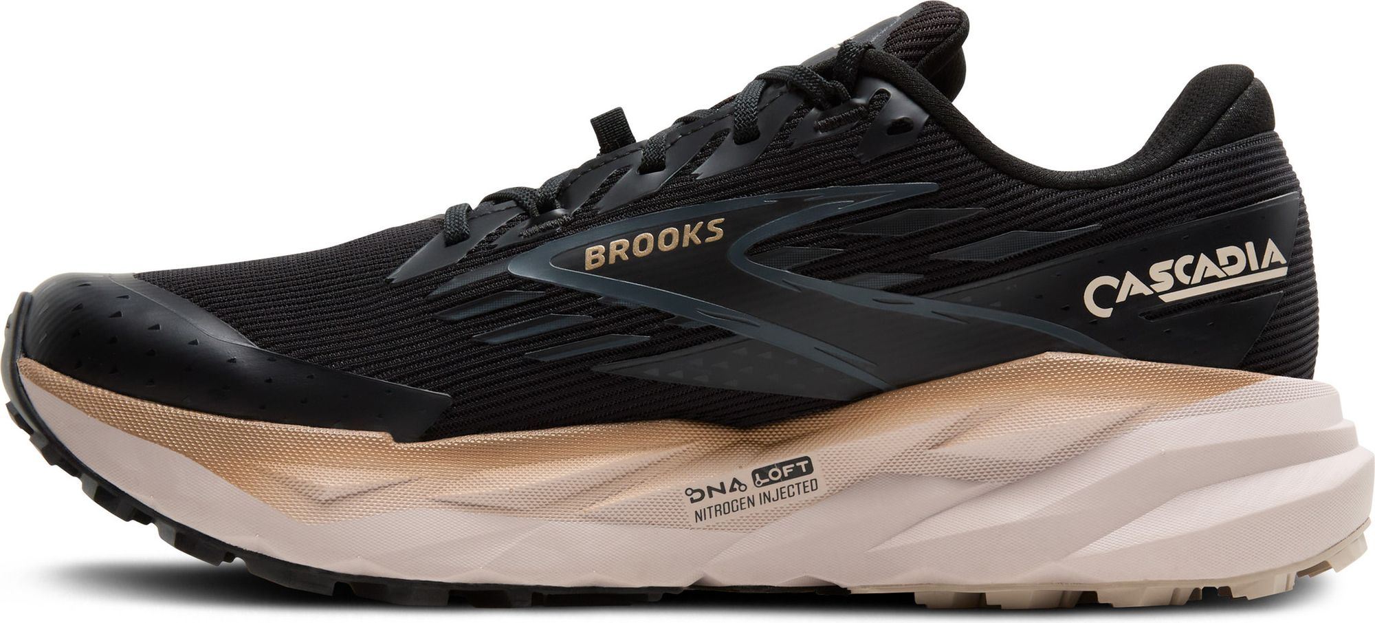 Brooks Cascadia 19 GTX Men