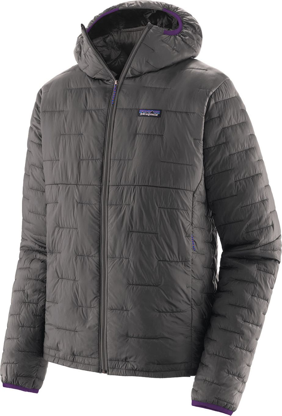 Patagonia Micro Puff Hoody Grey for Men | Alltricks.com