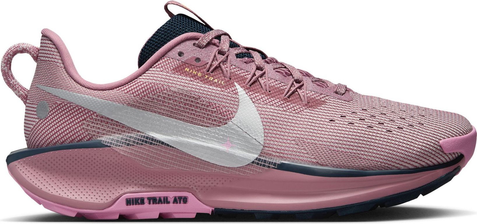 Nike pegasus trail femme hotsell