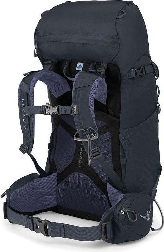 Osprey kyte stores sale