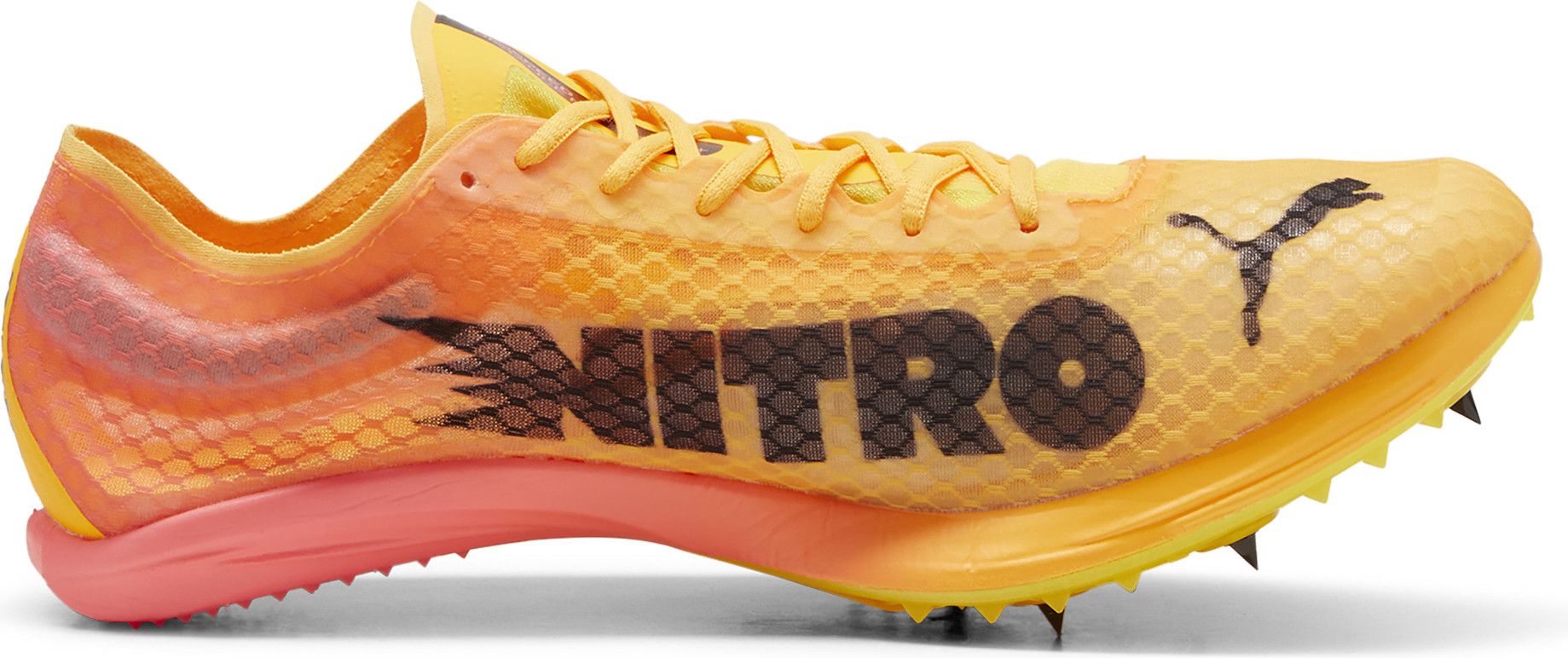 Puma evoSPEED Distance Nitro Elite+ 4 Orange Pink Men's