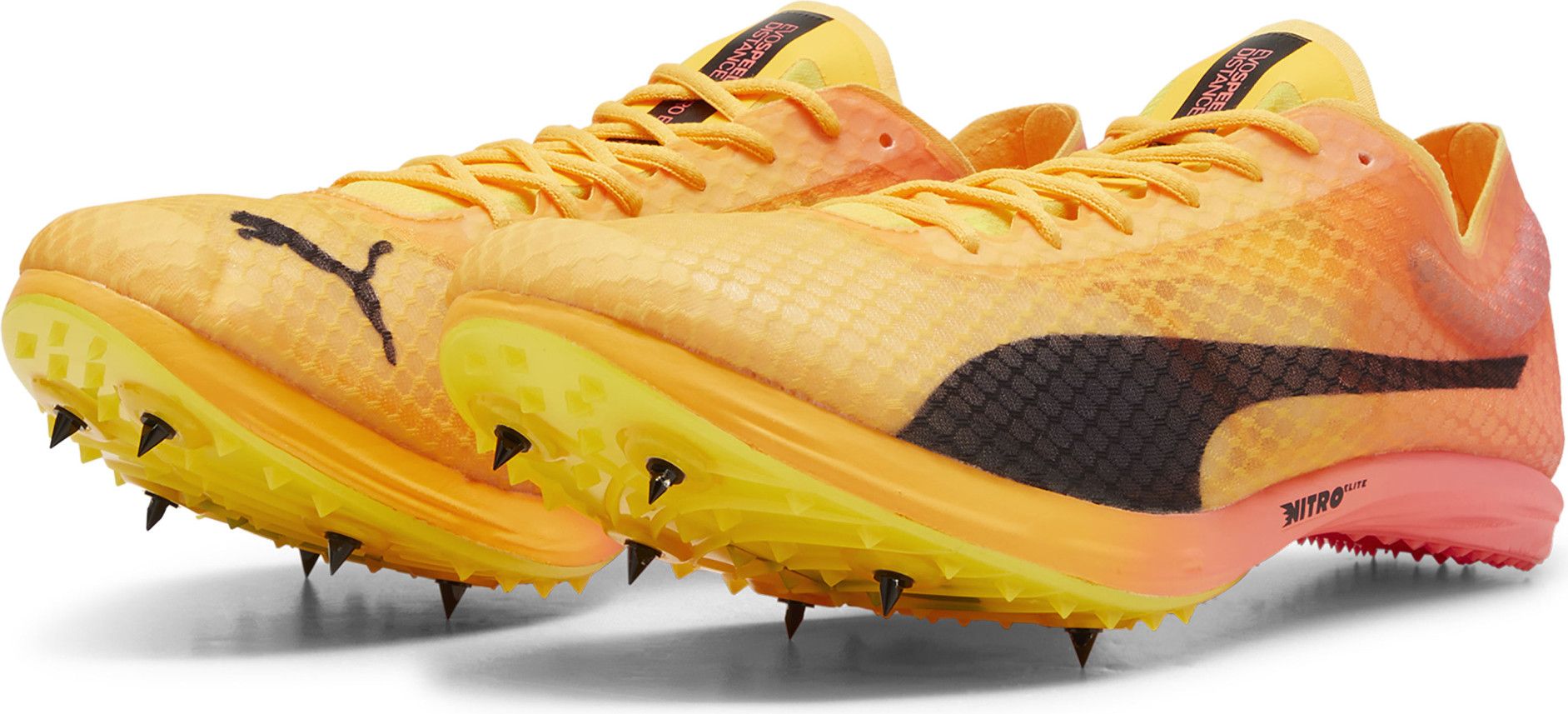 Puma evoSPEED Distance Nitro Elite+ 4 Orange Pink Men's Track &amp