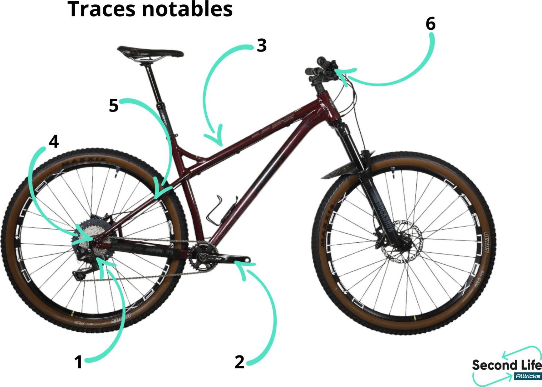 Ragley mtb 2025