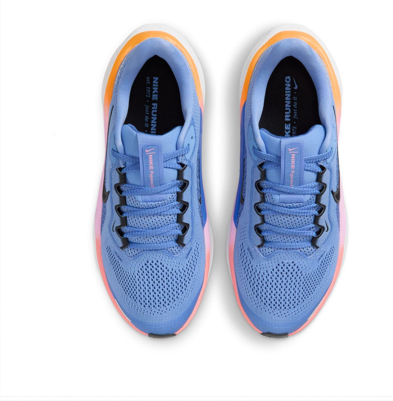 Nike pegasus bleu online