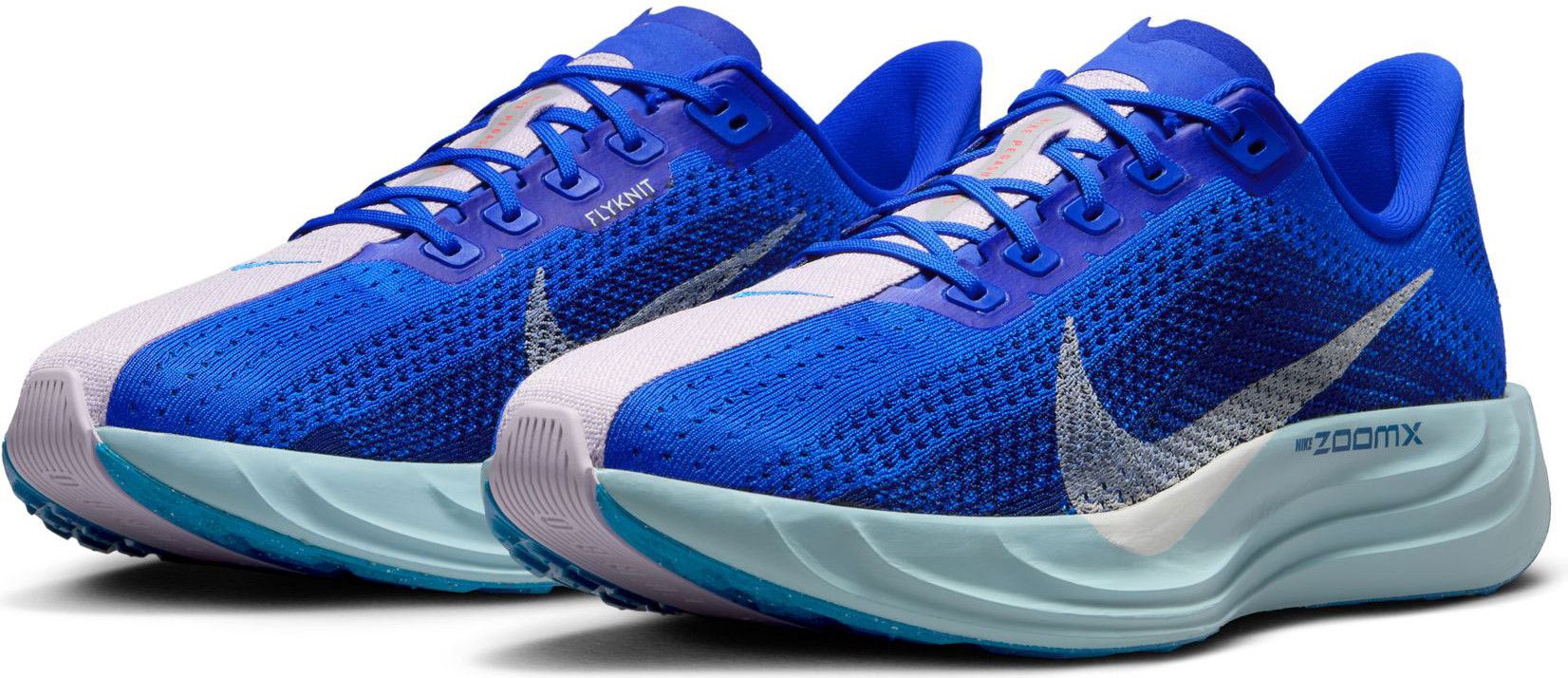 NIKE Pegasus PLUS CM 29cm Chaussures Running Nike Pegasus Plus CM