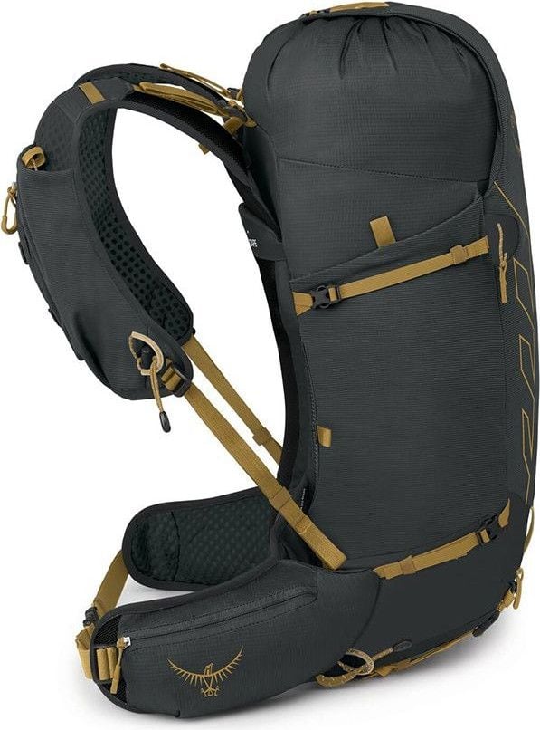 Osprey talon 30l best sale