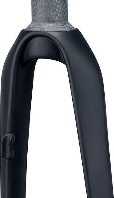 Ritchey WCS Carbon Disc Road Fork | 12x100mm | 46mm Offset