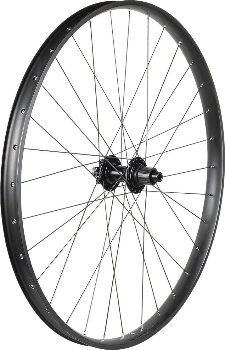 Bontrager Alex MD35 Tubeless Ready 29