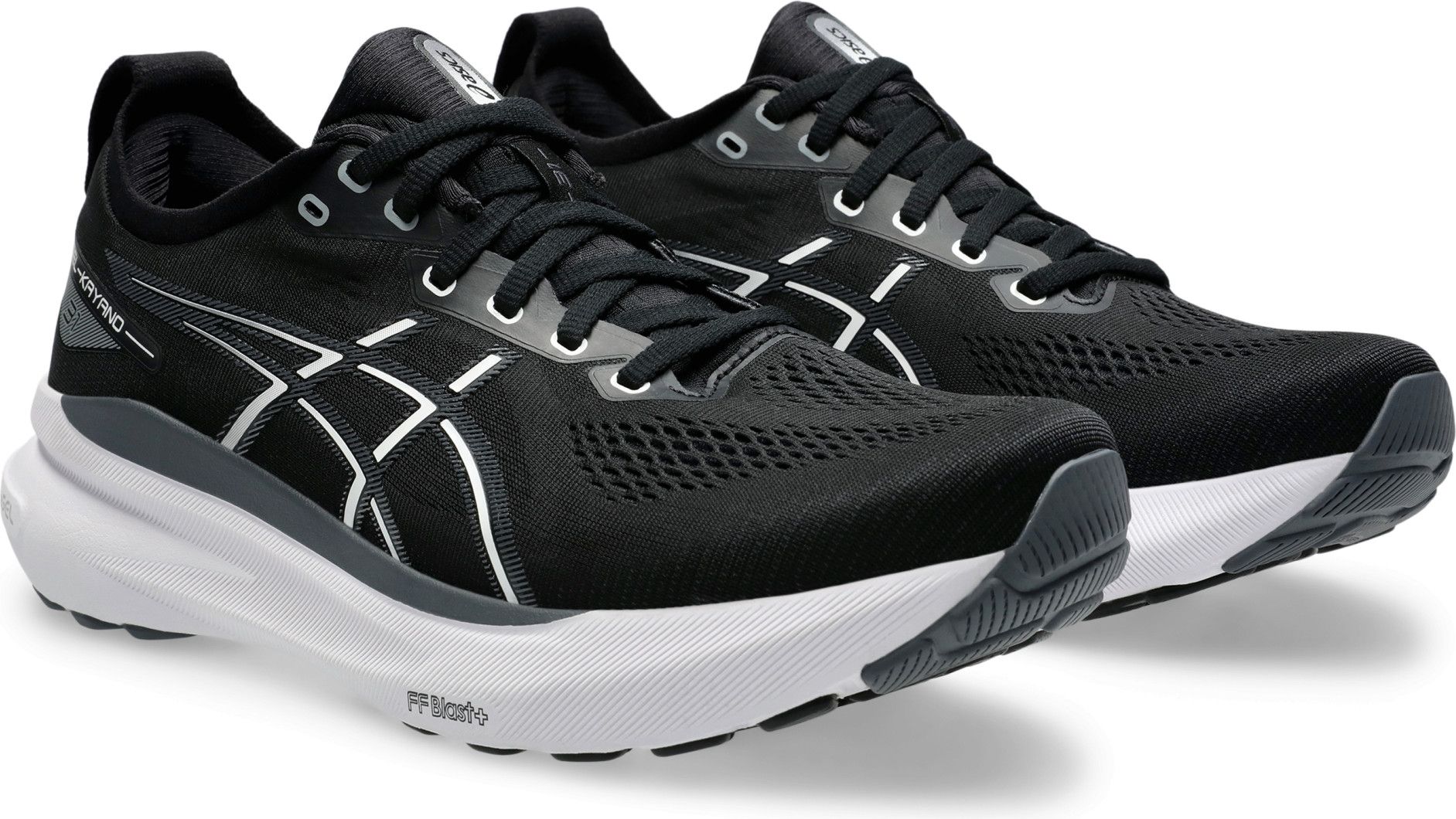 Running Shoes Asics Gel-Kayano 31 Large 2E Black/White Men
