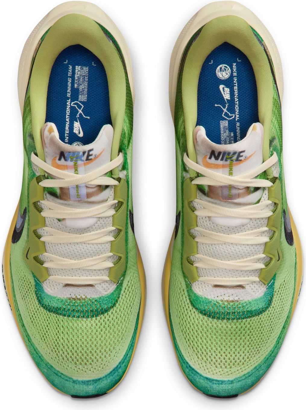Chaussures Running Nike Pegasus 41 SE Vert/Bleu Homme