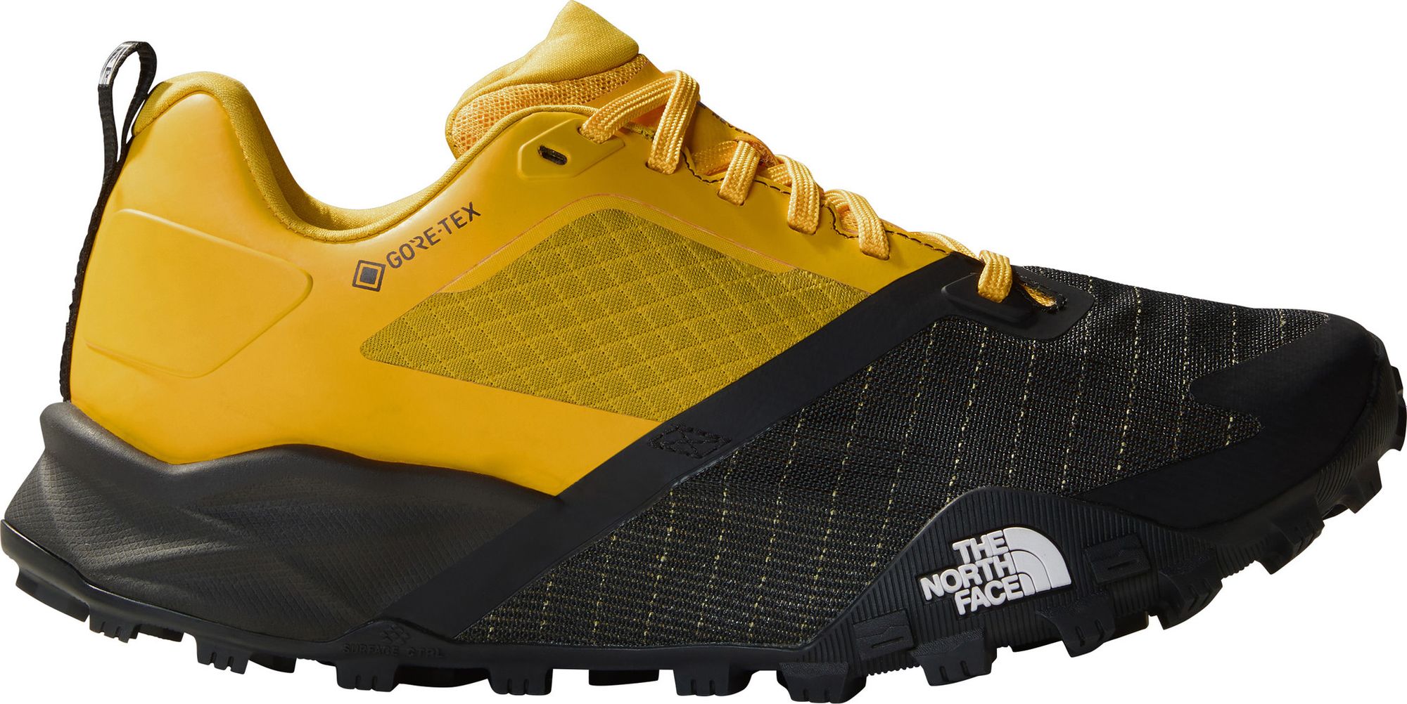 Mens north face gore tex shoes online