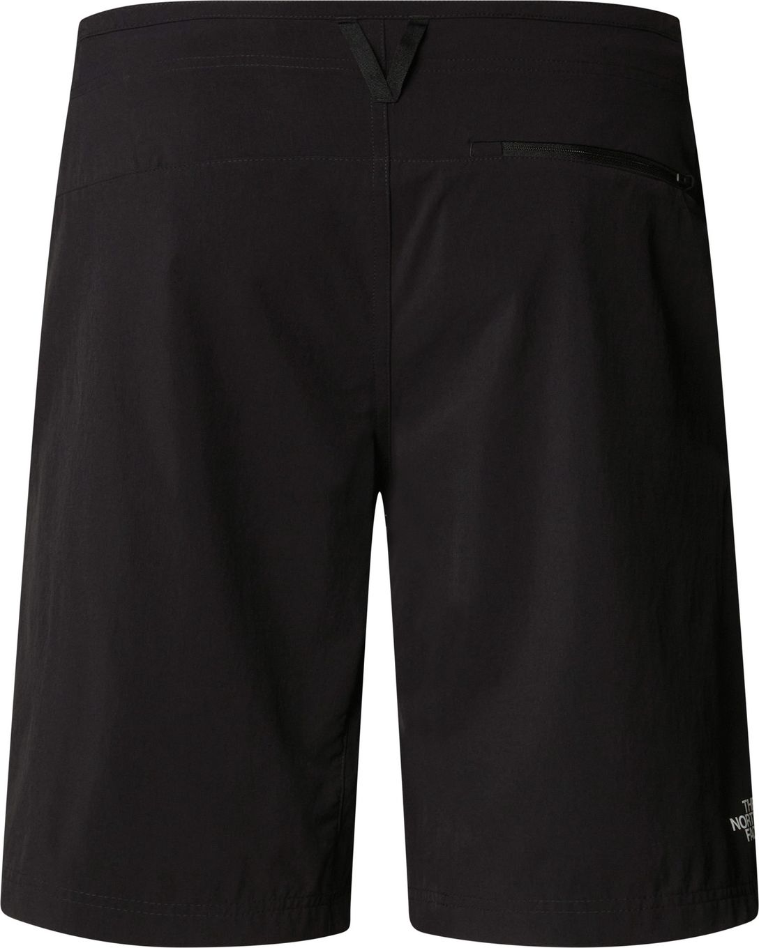 Men's shorts The North Face Speedlight Black | Alltricks.com