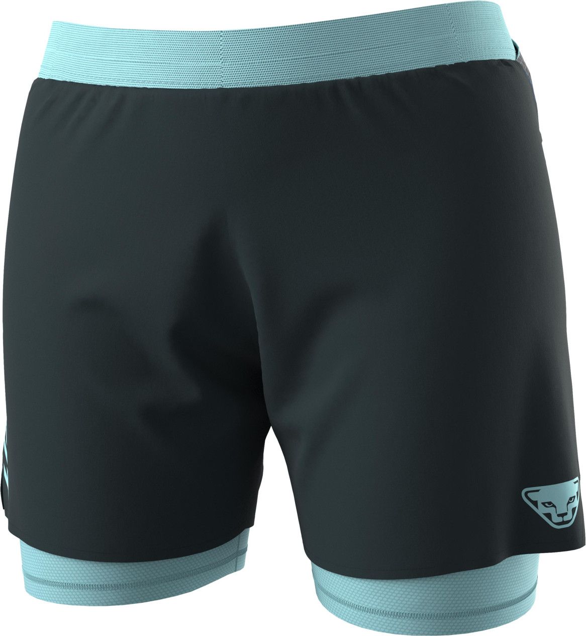 Dynafit alpine pro 2 in 1 deals