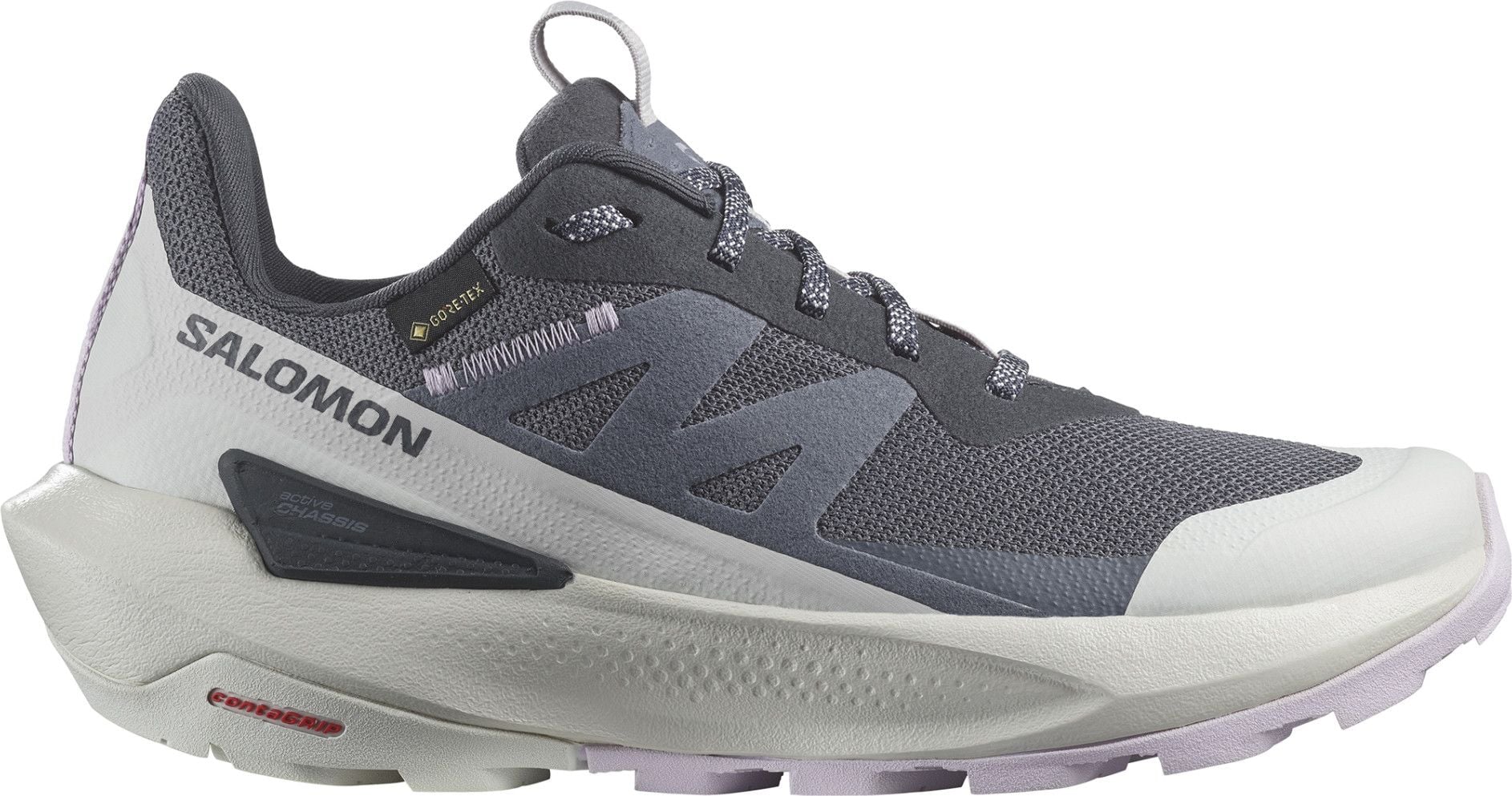 Women's hiking shoes Salomon Elixir Activ GTX Blue Grey