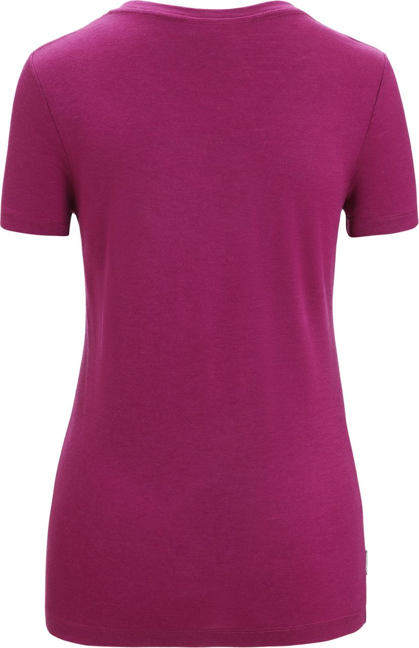Icebreaker T-Shirt Femme - Merino 150 Tech Lite Protect Our Winters - Noir