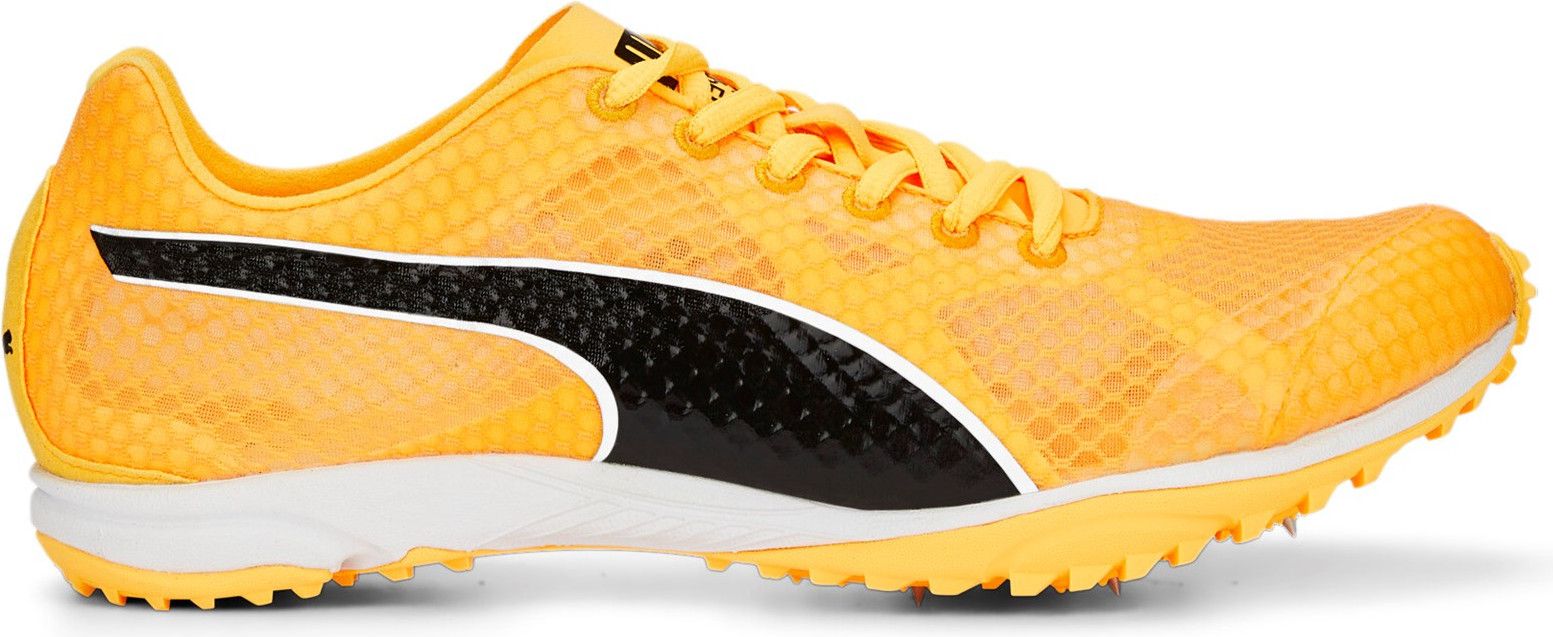 Puma evospeed ghost online