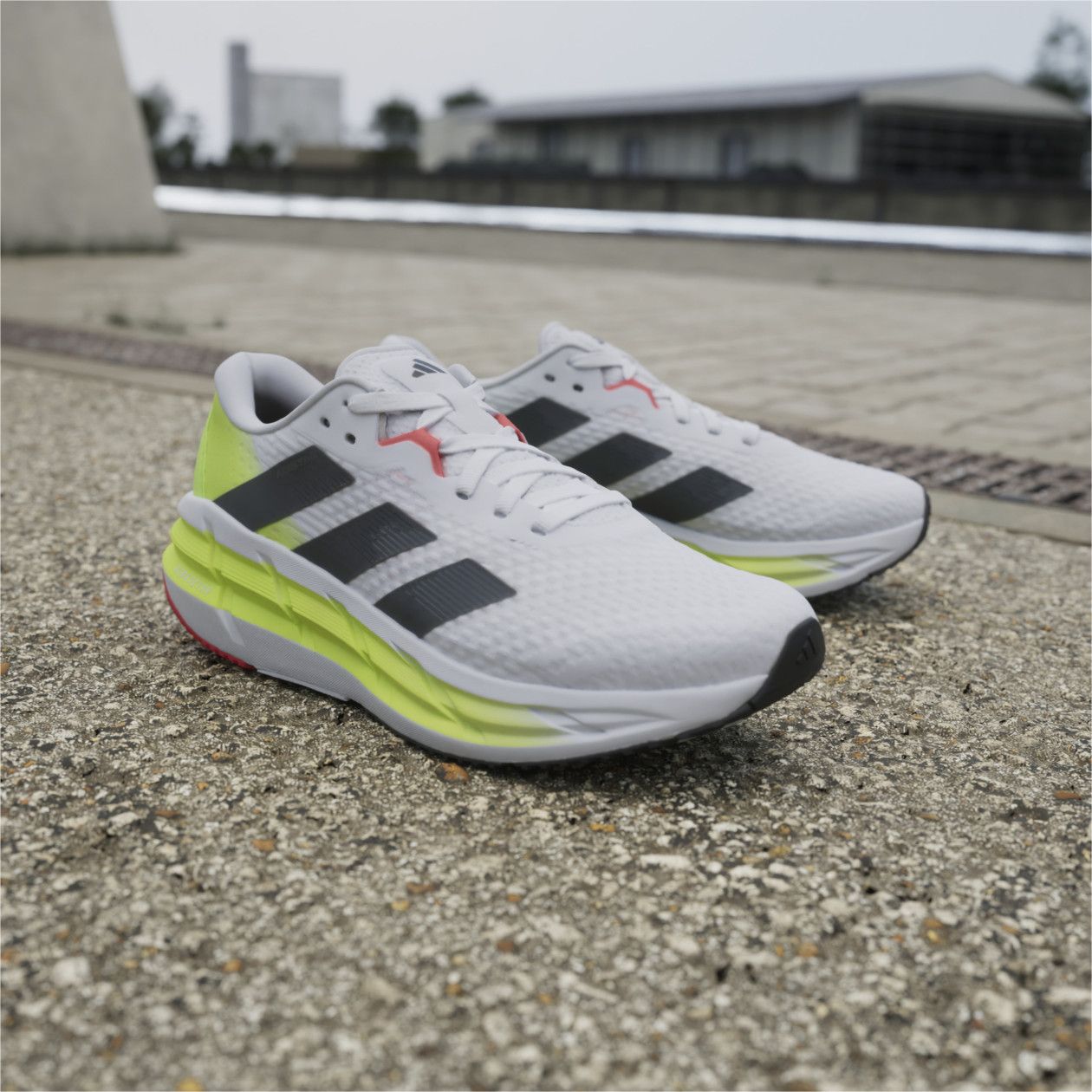 adidas gazelle silver green womens Adidas - Busenitz Indoor Super Shoes