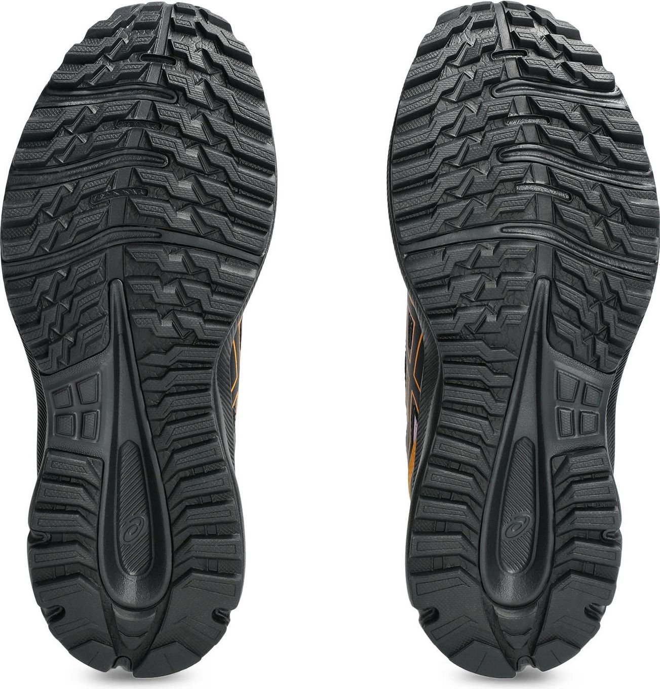 Vue latérale Asics Trail Scout 3