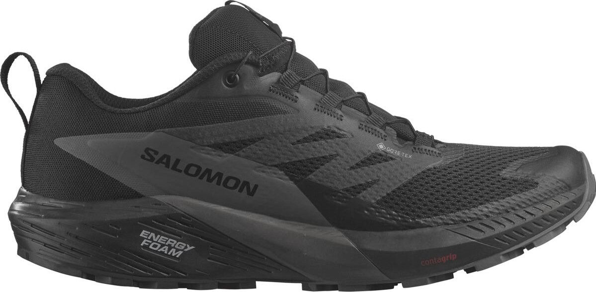 Salomon ride gtx on sale