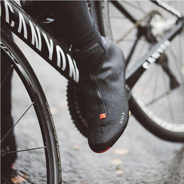 Fizik artica top