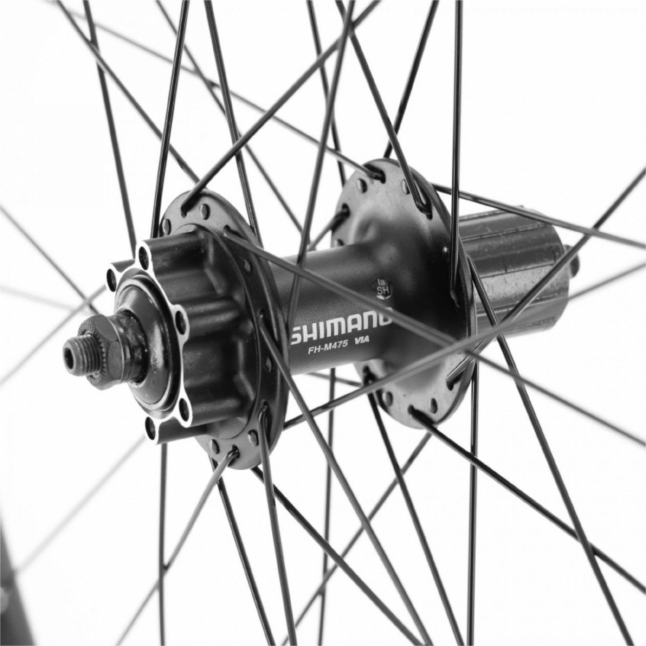 Ruota Posteriore 24" MTB Bimbo/Pieghevole – Mozzo Acciaio Beretta 6/7V, Resistente E Sicura