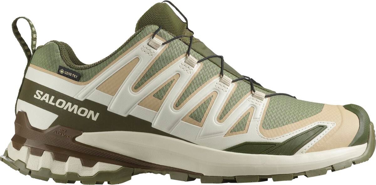 Salomon XA Pro 3D v9 GTX Trail Shoes, Green/Beige, Men