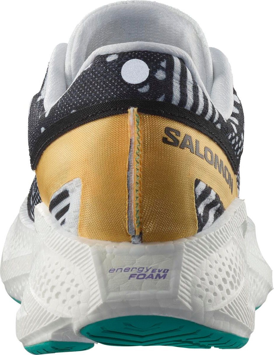 Salomon Aero Glide 3 Proto Pack Multicolor Men's Running Shoes