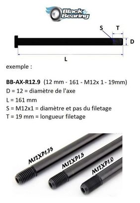 Axe de roue Blackbearing - R12.8QR - (12 mm - 174- M12x1 75