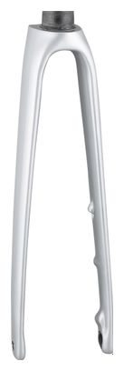 Trek Rigid Fork 2021 Émonda SL6 700c Silver White