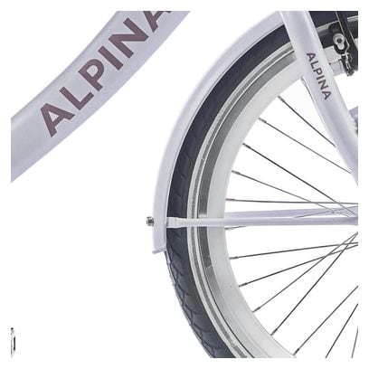 Alpina Garde-boue set 22 Clubb rose givré mat