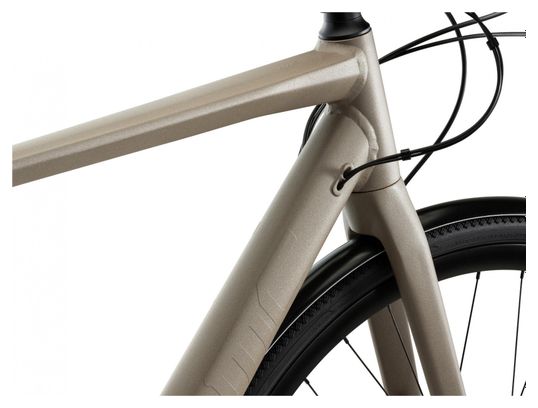 BMC Alpenchallenge AMP AL City One Bicicleta de ciudad eléctrica para fitness Shimano Nexus 5S Belt 504 Wh 700 mm Terra Grey Beige 2021