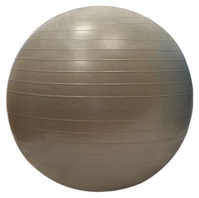 Gymball Sporti France 55cm