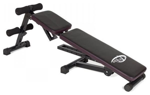 Banc de musculation abdominaux pliable haltères dorsaux fitness sport