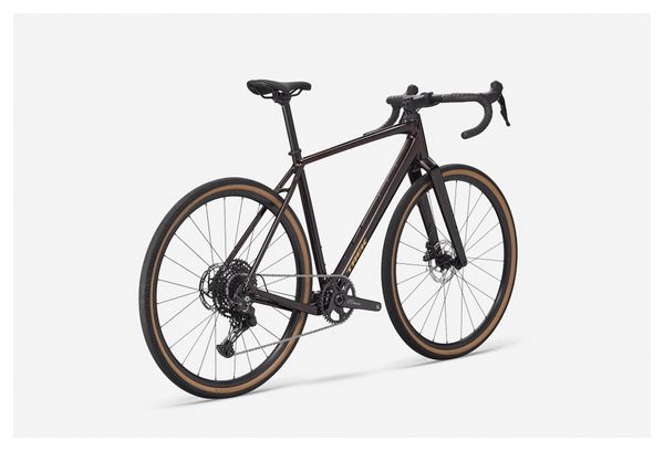 Gravel Bike Trek Checkpoint ALR 3 Shimano Cues 10V 700 mm Rosso Scuro Gen. 3