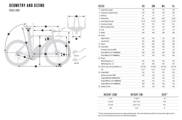 Vélo de Triathlon Orbea Ordu M20iLTD Shimano Ultegra Di2 12V 700 mm Gris Carbon Raw Rouge Wine 2024