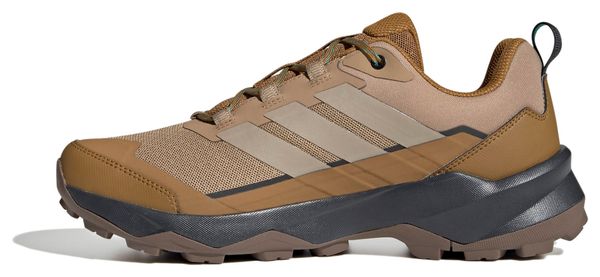 Scarpe outdoor adidas Terrex Skychaser AX5 Uomo Marrone