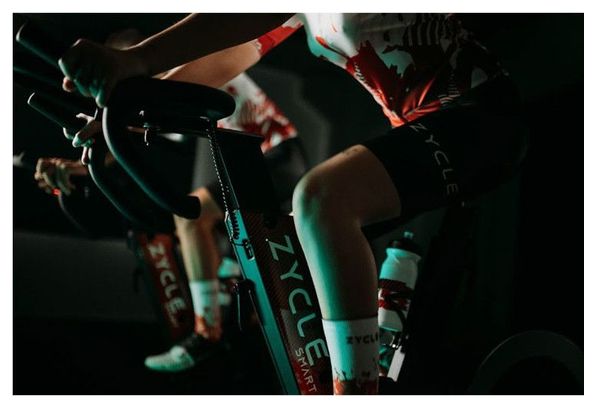 Vélo biking Zycle Smart ZBike 2.0