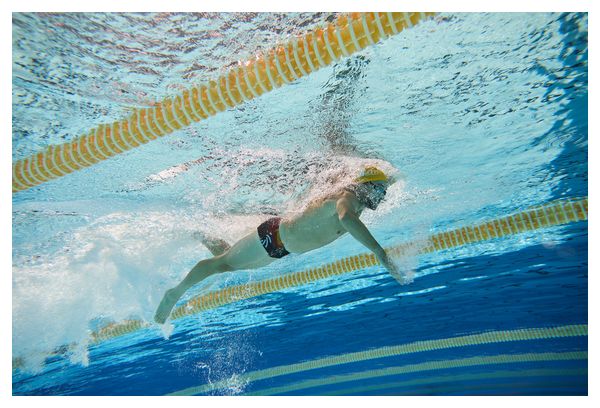 Z3rod Badeanzug Trunks Schwimmen Vortex Solar Mann