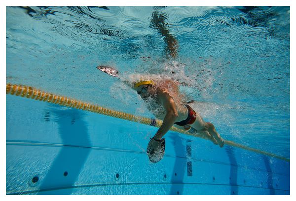 Z3rod Badeanzug Trunks Schwimmen Vortex Solar Mann