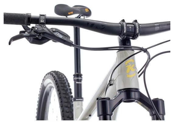 Kona Process 134 DL 29" Full-Suspension Mountain Bike - Beige