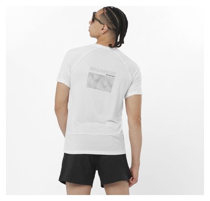Salomon Cross Run Short Sleeve T-Shirt Wit Heren