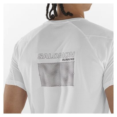 Salomon Cross Run Short Sleeve T-Shirt Wit Heren