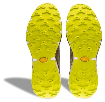 Chaussures Trail Dynafit Ultra 100 V3 GTX Kaki Homme