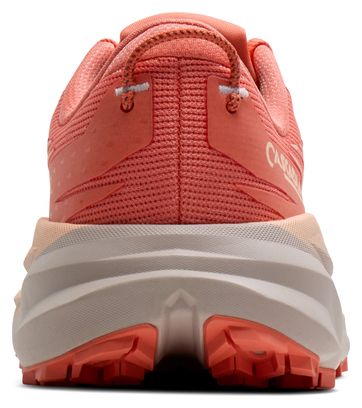 Brooks Cascadia 19 Trailschoenen Roze Dames