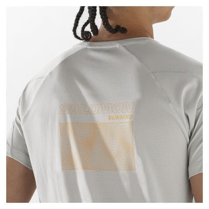T-shirt manches courtes Salomon Cross Run Gris Homme