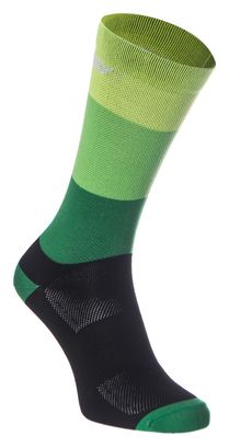 Massi Socks Black Green