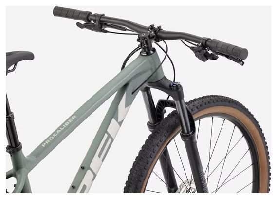 Mountain bike Trek Procaliber 6 Shimano 12V 29'' Grigio Desert Sage 2027