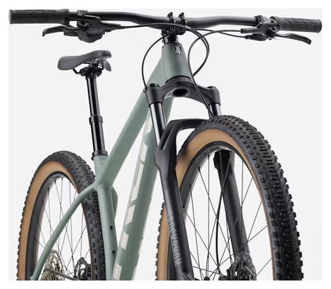 Mountain bike Trek Procaliber 6 Shimano 12V 29'' Grigio Desert Sage 2027