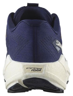 Zapatillas running Salomon Aero Blaze 3 GRVL Azul Mujer
