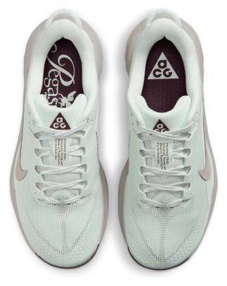 Nike ACG Pegasus Trail trailschoenen, groen/paars, dames